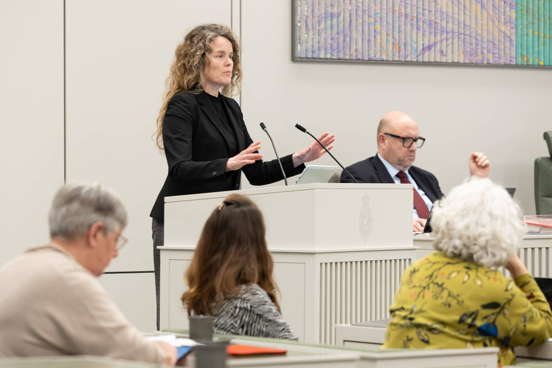 Senator Visseren-Hamakers (Fractie-Visseren-Hamakers)