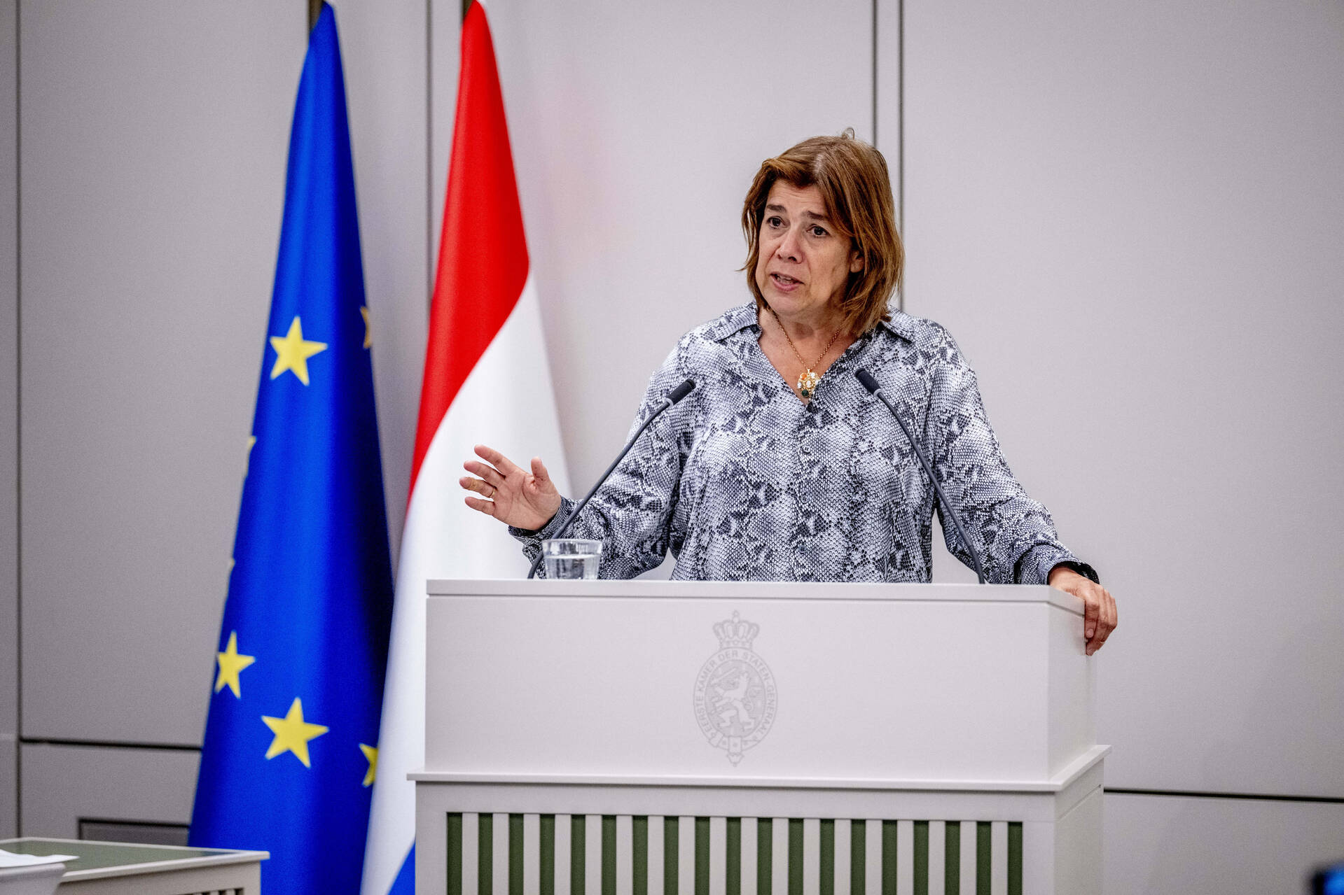 Senator Roovers (GroenLinks-PvdA)