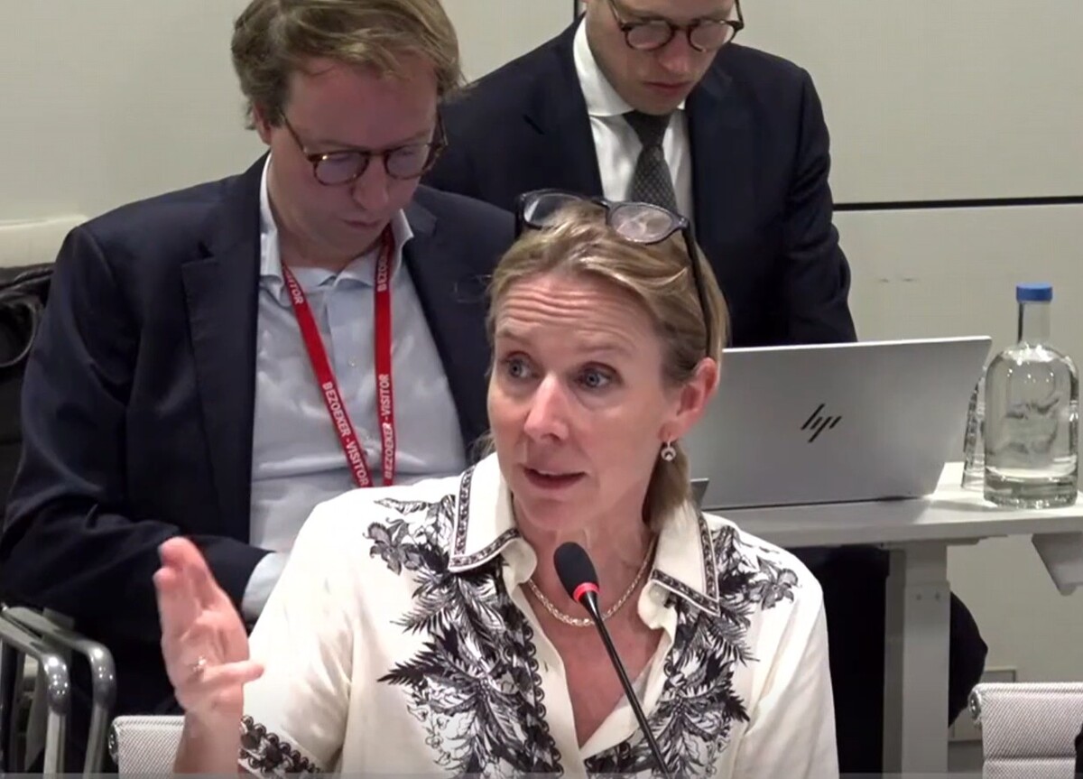 Mondeling overleg met minister Van Veldhoven over energiemarkt