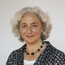 Senator Karimi (GroenLinks)
