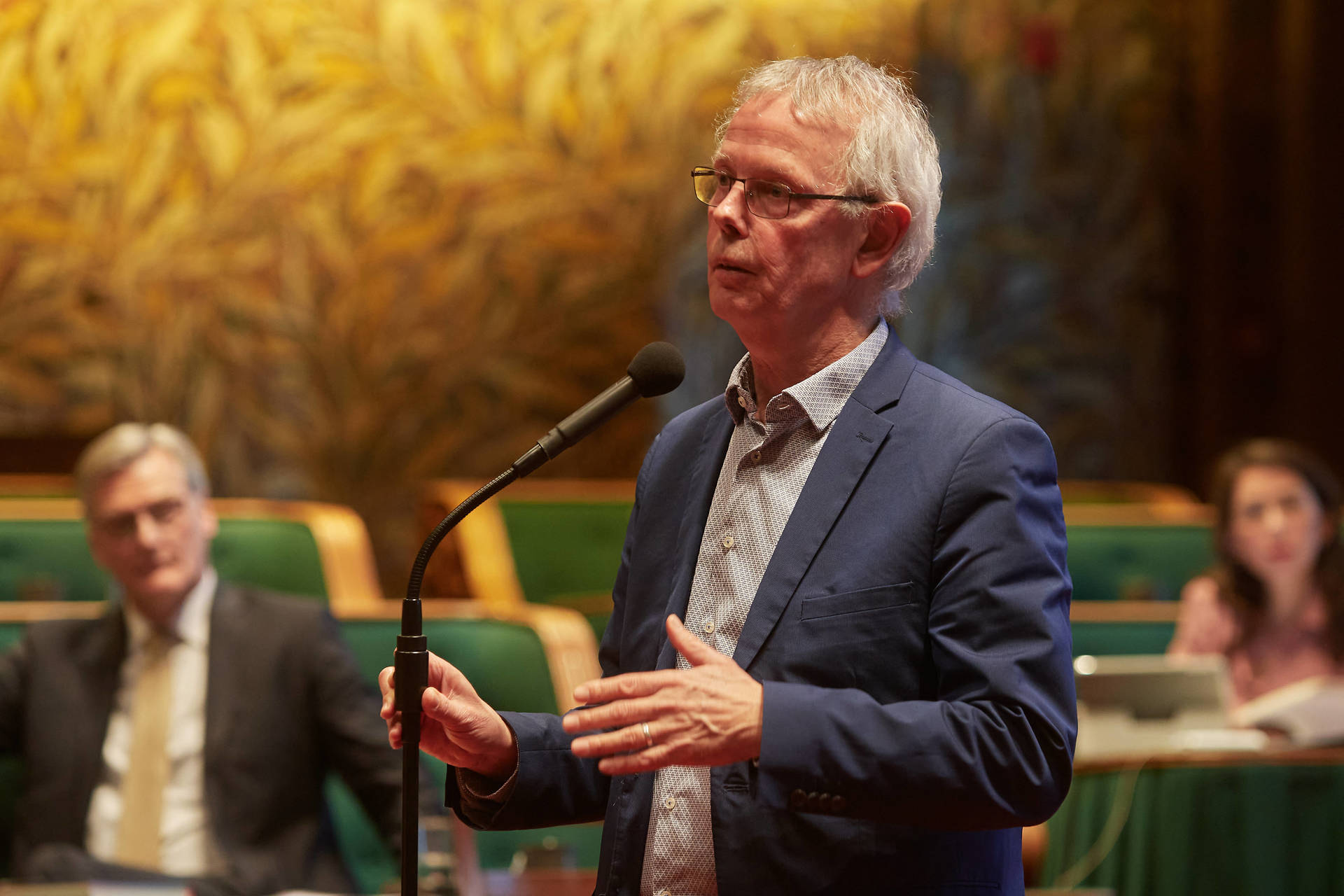  Senator Kox (SP)