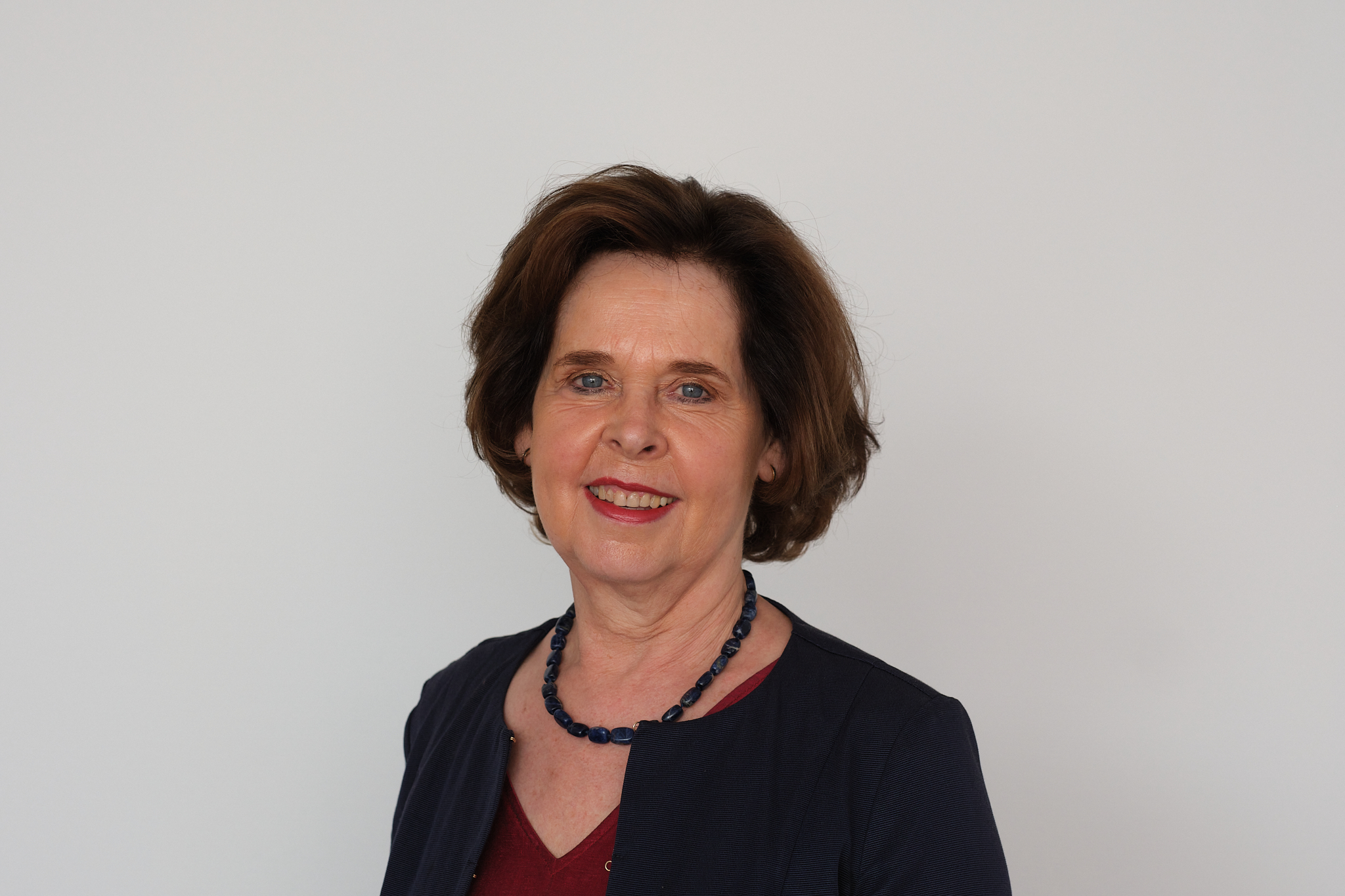 Ir.ing. C.P.M.  Moonen  (D66) 1