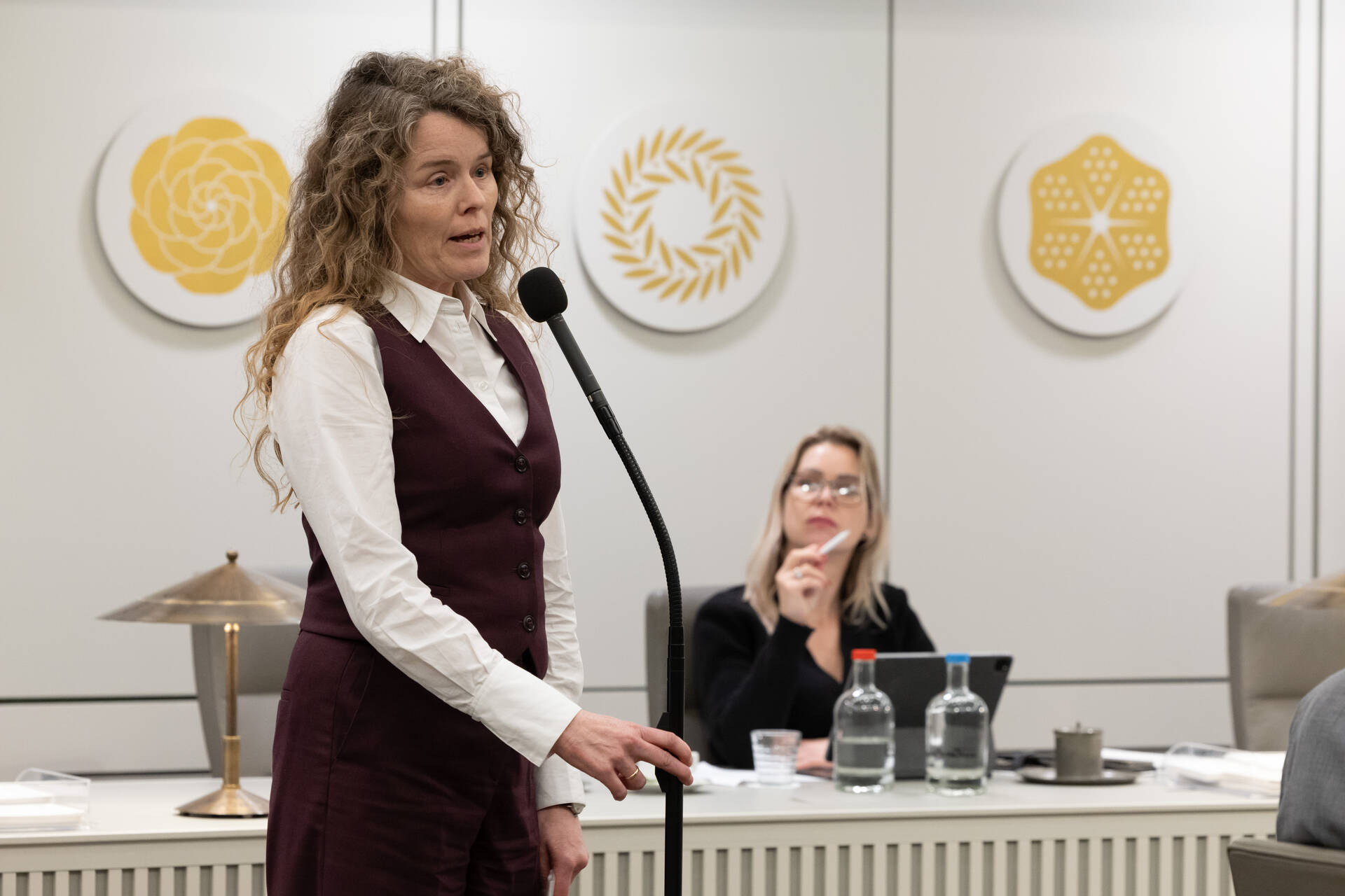 Senator Visseren-Hamakers (Fractie-Visseren-Hamakers)